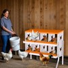 Chicken Nesting Boxes, 6 Hole Roll Away Nest Box for Chicken and Poultry to Collect Eggs, Egg Laying Boxes for Chicken Coop - 4 of 4