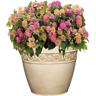 Desert Tan 13" Resin Indoor/Outdoor Corinthian Flower Pot Planter