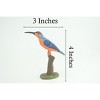Kingfisher, Common King Fisher, Museum Quality, Educational, Hand Painted, Rubber Bird, Diorama Model, Realistic, Toys,  4 Inches.  CH1039 BB217 - 3 of 4