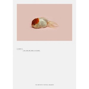 Robert Zhao Renhui: A Guide to the Flora and Fauna of the World - (Hardcover) - 1 of 1