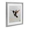 Stupell Industries Hummingbird over Distressed Rustic Framed Print Under Glass Art, Gray, 13" x 13" - 2 of 4
