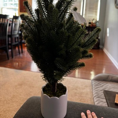 Guest review image 2 of 3, zoom in