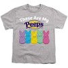 Easter These Are My Peeps Kids T-Shirt For Youth Athletic Heather - 2 of 4