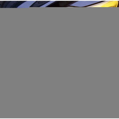 TruAIR Universal Car Light Tint Film Wrap 11.88_48 Inches
