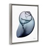 Stupell Industries Contemporary Snail Shell, 25" x 31" - 3 of 4