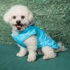 Doggie Design Weekender Dog Sweatshirt Hoodie - Light Blue - image 2 of 3