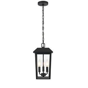 Elegant Lighting Riggs 8 x 15 inch Outdoor Pendant in Black - 1 of 4