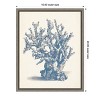 Amanti Art Antique Coral Collection V by Vision Studio Canvas Wall Art Print Framed 16 x 20-in. - 4 of 4