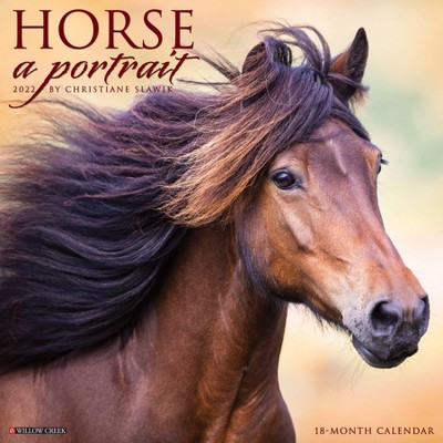 2022 Wall Calendar Horse: A Portrait - Willow Creek Press