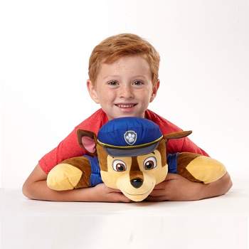 Licensed Character Plush - Pillow Pets