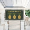 Stupell Industries Welcome Friends Pineapples Printed Outdoor Imitation Sisal Door Mat, design by Darlene Seale - 4 of 4