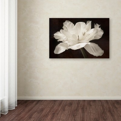 Framed Botanical White Tulip Canvas Art in Dark Brown Background