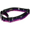 Country Brook Petz Heavenly Space Martingale Dog Collar - image 2 of 4