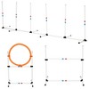 PawHut 3PC Dog Agility Equipment Set, Obstacle Course Exercise for Dog Include Adjustable Hurdle, Hoop, Weave Poles and Carry Bag - 4 of 4