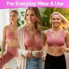 5 Star Super Deals Seamless Support Wireless Comfort Bra - Breathable Mesh Design, Anti-Chafing, Removable Pads, Versatile - 3pc - 4 of 4