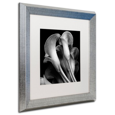 Trademark Fine Art -Michael Harrison 'Lillies' Matted Framed Art