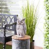 17" x 9" Magnesium Oxide Country Owl Garden Sculpture Gray - Olivia & May - 2 of 4