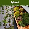 Aoibox Natural Green Moss Decorative Balls, Handmade Set of 6 for Crafting, Weddings, Holidays, Floral Arrangements, Tablescapes and Home Decor - 2 of 4