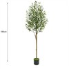 Olive Tree Artificial, Faux Olive Tree with Pot, Fake Tall Plant Indoor Outdoor with Natural Wood Trunk & Lifelike Fruits for Home Office Living Room - 3 of 4