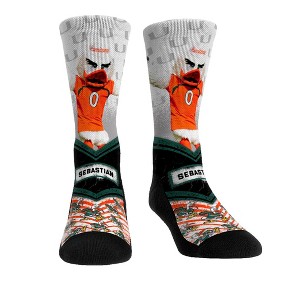 NCAA Miami Hurricanes - Mascot Walkout Rock 'Em Socks - 1 of 1