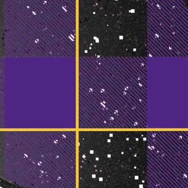 minnesota vikings