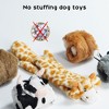 Itopfox 5-Piece Squeaky Crinkle Plush Dog Toys for Small to Large Dogs, No Stuffing Puppy Chew Toys for Boredom Relief - 3 of 4