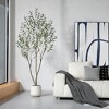 DR.Planzen 5-7FT Artificial Olive Tree with Triple-Trunk Design - Realistic Black Olives & Green Leaves in 9x9" White Plastic Planter for Home Decor - 2 of 4