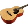 Rogue Starter Acoustic Guitar - 3 of 4