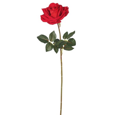 single red rose with stem