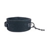 Bellura Pet - Faux Leather Harness with Chain Leash - Black - 4 of 4