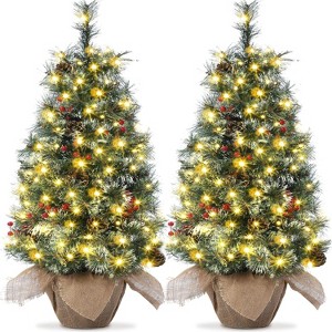 3ft Small Christmas Tree, with Warm White Lights, Pine Cones, Red Berries, Mini Potted Artificial Christmas Tree for Desktop - 1 of 4