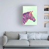 Trademark Fine Art - June Erica Vess  Savannah Pop III Canvas Art - 2 of 4