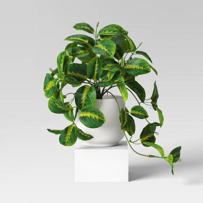 Trailing Prayer Artificial Plant - Room Essentials™