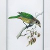 15"x24" Set of 2 Bird Mirror Frame Prints - A&B Home: Vertical Wall Art, Mixed Media, Includes Mounting Hardware - 3 of 3