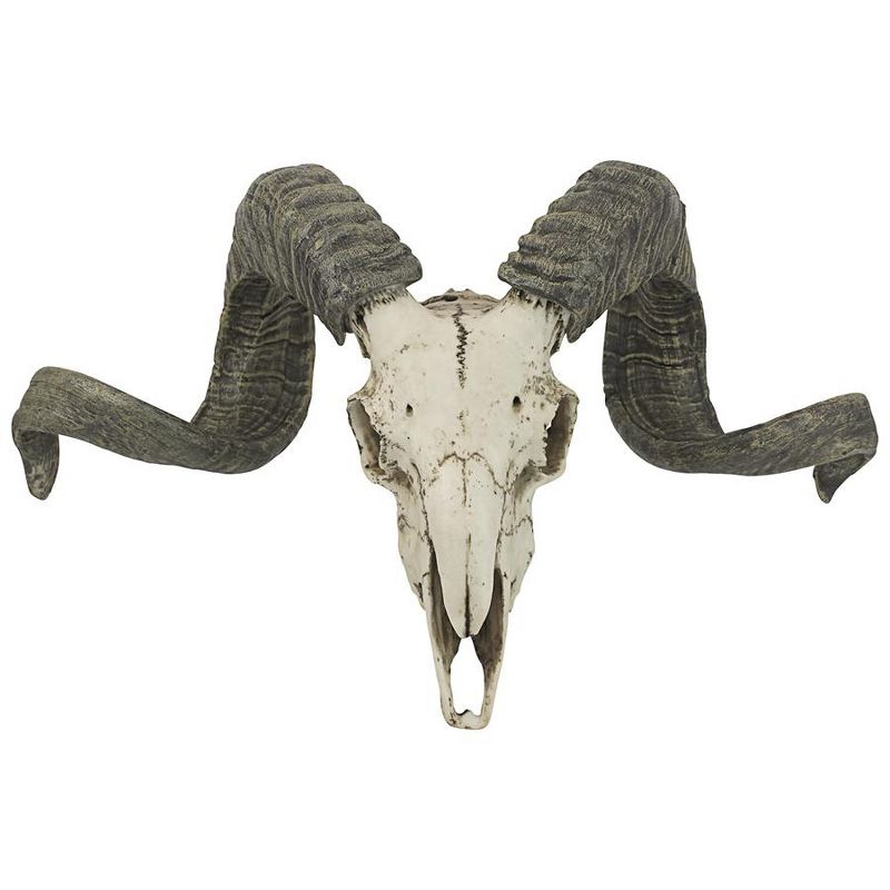Design Toscano Corsican Ram Skull and Horns Wall Trophy, 3 of 8