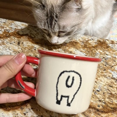 Guest review image 1 of 2, zoom in