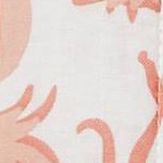 Ivory | Melon Pink