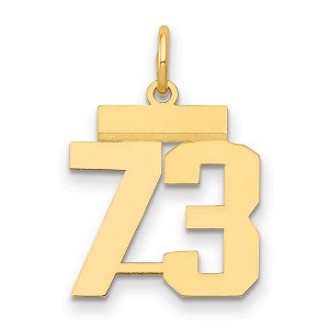 Black Bow Jewelry 14k Yellow Gold, Athletic Collection, Small Polished Number 73 Pendant - 1 of 3