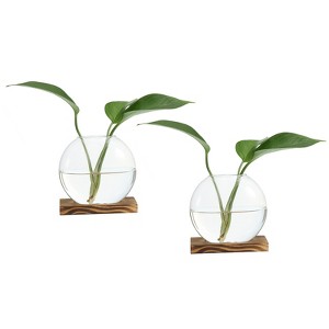 Unique Bargains Wooden Stand Hydroponic Collectible Glass Terrarium 2 Pcs - 1 of 4