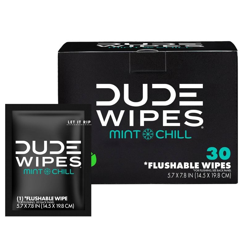 Dude Wipes Mint Chill On-The-Go Flushable Personal Wipes - 30ct, 1 of 10