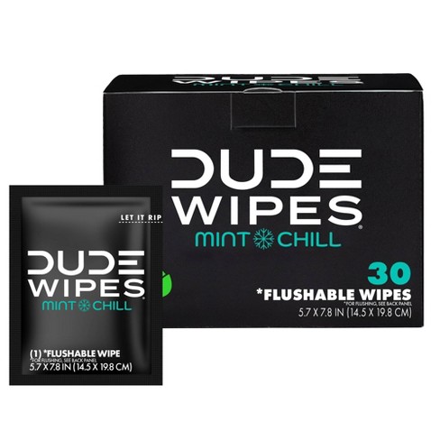 Dude Wipes Mint Chill On-the-go Flushable Personal Wipes - 30ct