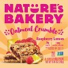 Nature's Bakery Raspberry Lemon Snack Bars - 6ct - 4 of 4