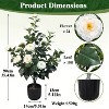 Cesicia 2pcs 3ft Artificial Camellia Trees with Pot & Pebbles - 24 Realistic White Blooms & 188 Lush Green Leaves, Faux Potted Plant for Home - 2 of 4