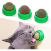 Potaroma Flopping Fish Cat Dog Toy and 3 Silvervine Catnip Balls - 3 of 3