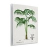 Stupell Industries Vintage Palm Illustration Wall Plaque Art - 2 of 4