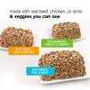 Purina Beneful Chopped Blends with Beef, Chicken & Lamb Recipes Wet Dog Food - 10oz - 3 of 4