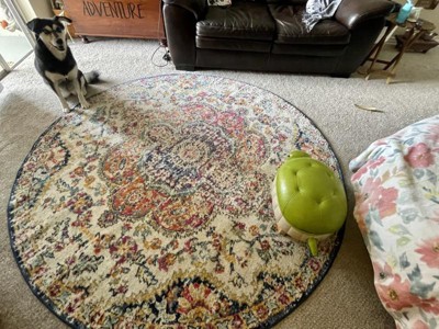 Guest review image 1 of 3, zoom in