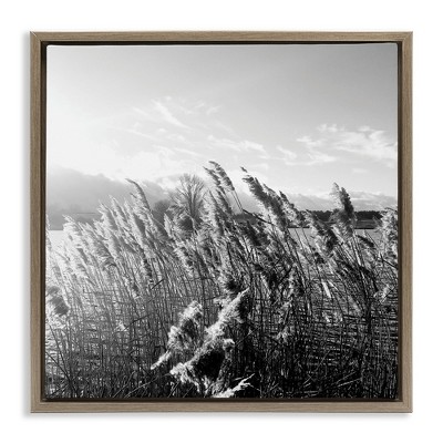 Stupell Industries Tall Grass Lake Water Landscape, 25" x 25"