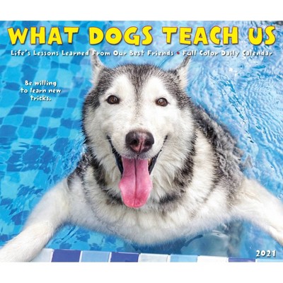 2021 Daily Desktop Calendar What Dogs Teach Us - Willow Creek Press