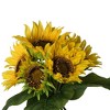 Gulches Set of 3, 14x14x15" Sunflower Bundle (7 Bundles Total) - Faux Flower Decor for Home/Living Room/Patio - 3 of 4